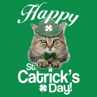 Happy St Catrick's Day Irish Cat Women's V-Neck T-Shirt
