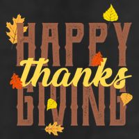 Happy Thanksgiving Adult Drive Performance Visor