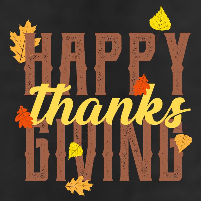 Happy Thanksgiving Adult Drive Performance Visor