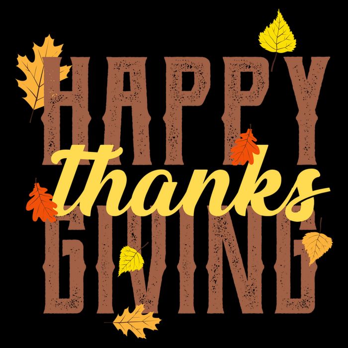 Happy Thanksgiving Cropped Pullover Crew