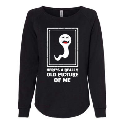 Here's A Really Old Picture Of Me Funny Sperm Womens California Wash Sweatshirt