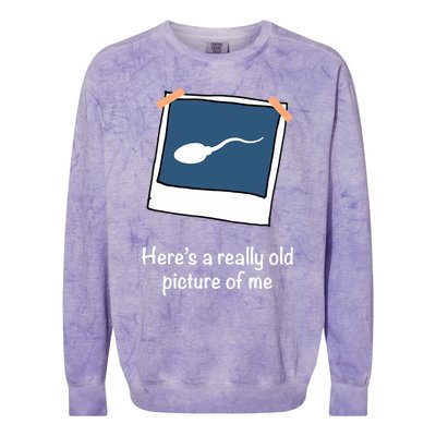 Here's A Really Old Picture Of Me Funny Sperm Gag Adult Colorblast Crewneck Sweatshirt