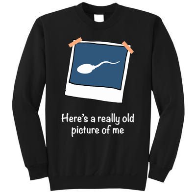 Here's A Really Old Picture Of Me Funny Sperm Gag Adult Sweatshirt