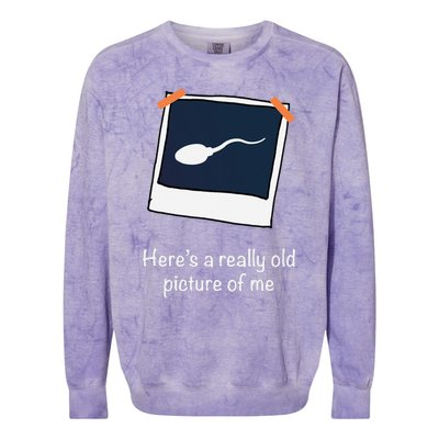 HereS A Really Old Picture Of Me Funny Sperm Gag Adult Colorblast Crewneck Sweatshirt