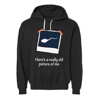 HereS A Really Old Picture Of Me Funny Sperm Gag Adult Garment-Dyed Fleece Hoodie