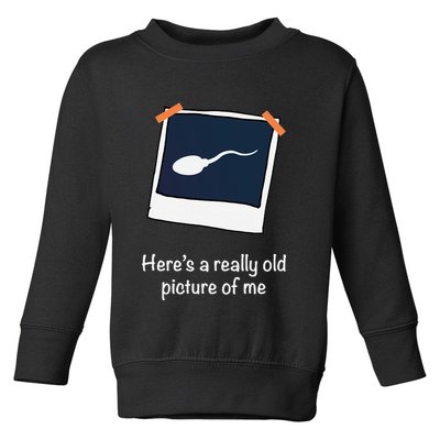 HereS A Really Old Picture Of Me Funny Sperm Gag Adult Toddler Sweatshirt