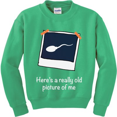HereS A Really Old Picture Of Me Funny Sperm Gag Adult Kids Sweatshirt