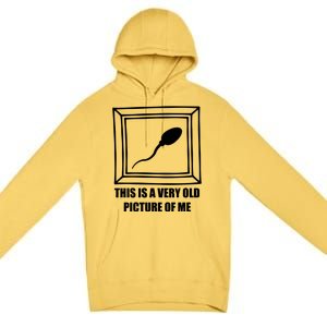 Here's A Really Old Picture Of Me Funny Sperm Birthday Premium Pullover Hoodie