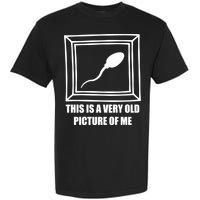 Here's A Really Old Picture Of Me Funny Sperm Birthday Garment-Dyed Heavyweight T-Shirt