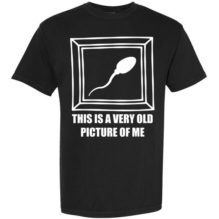 Here's A Really Old Picture Of Me Funny Sperm Birthday Garment-Dyed Heavyweight T-Shirt