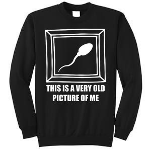 Here's A Really Old Picture Of Me Funny Sperm Birthday Sweatshirt