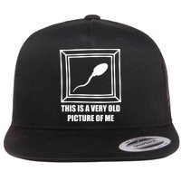 Here's A Really Old Picture Of Me Funny Sperm Birthday Flatbill Hat
