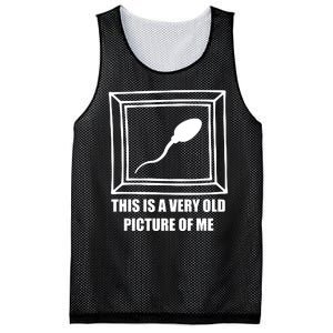 Here's A Really Old Picture Of Me Funny Sperm Birthday Mesh Reversible Basketball Jersey Tank