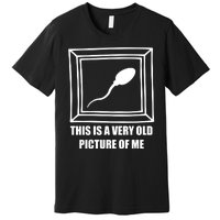 Here's A Really Old Picture Of Me Funny Sperm Birthday Premium T-Shirt