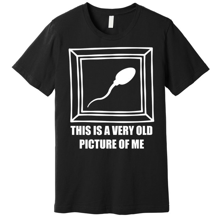 Here's A Really Old Picture Of Me Funny Sperm Birthday Premium T-Shirt