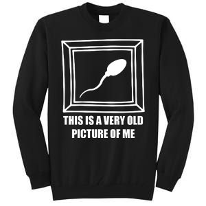 Here's A Really Old Picture Of Me Funny Sperm Birthday Tall Sweatshirt