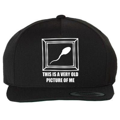 Here's A Really Old Picture Of Me Funny Sperm Birthday Wool Snapback Cap