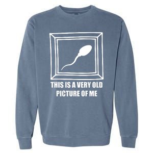 Here's A Really Old Picture Of Me Funny Sperm Birthday Garment-Dyed Sweatshirt