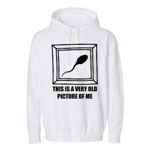 Here's A Really Old Picture Of Me Funny Sperm Birthday Garment-Dyed Fleece Hoodie