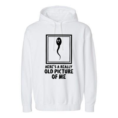 HereS A Really Old Picture Of Me Funny Fun Sperm Birthday Garment-Dyed Fleece Hoodie