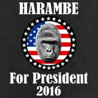 Harambe For President Adult Drive Performance Visor