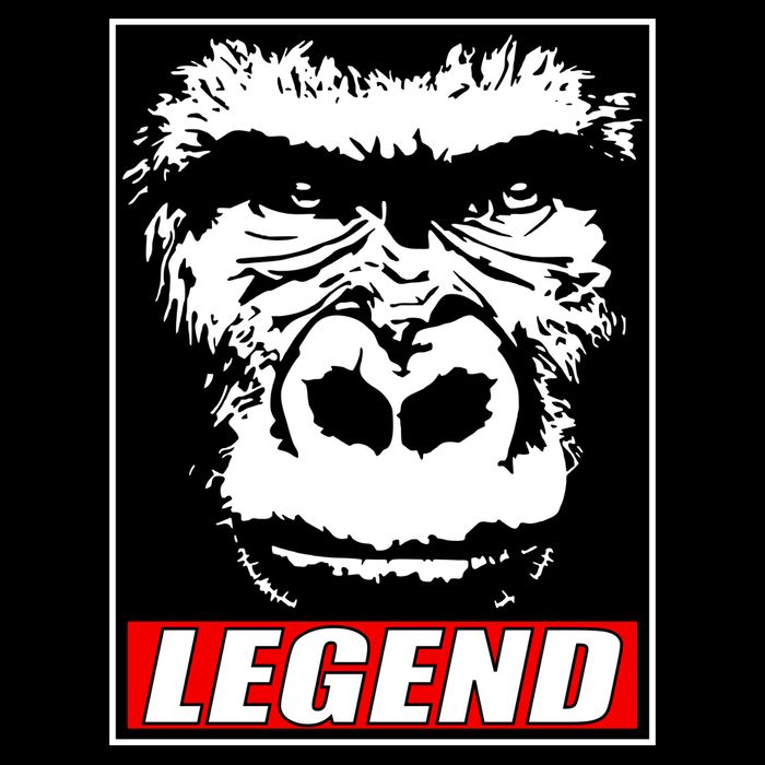 Harambe LEGEND Gorilla Poster RIP 2016 Sweatshirt