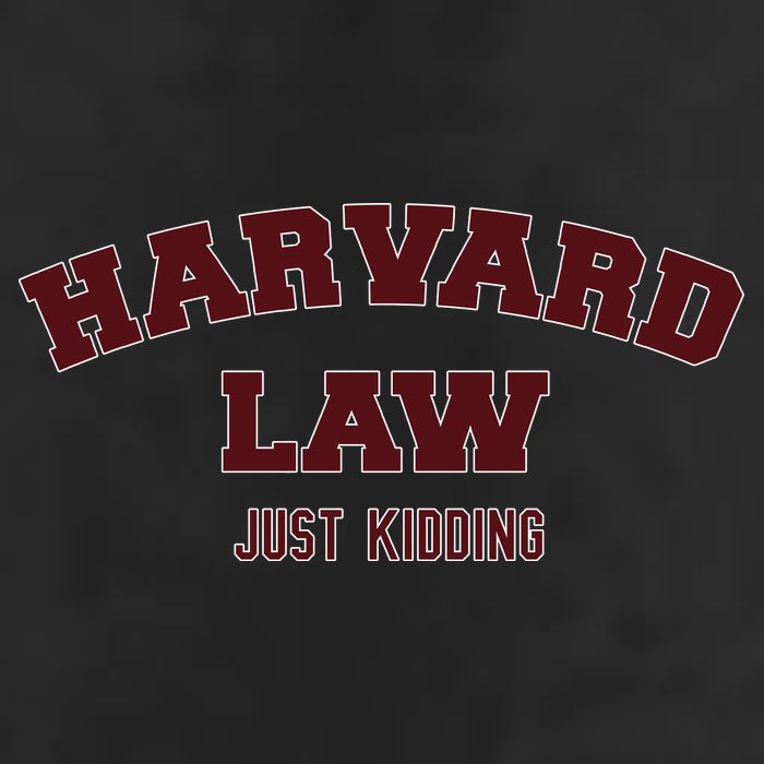 Harvard Law Just Kidding 7 Panel Mesh Trucker Snapback Hat