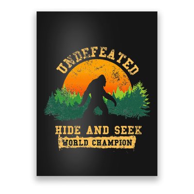 Hide And Seek World Champion Poster