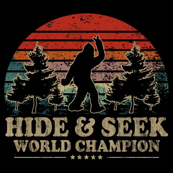 Hide And Seek World Champion Cropped Pullover Crew
