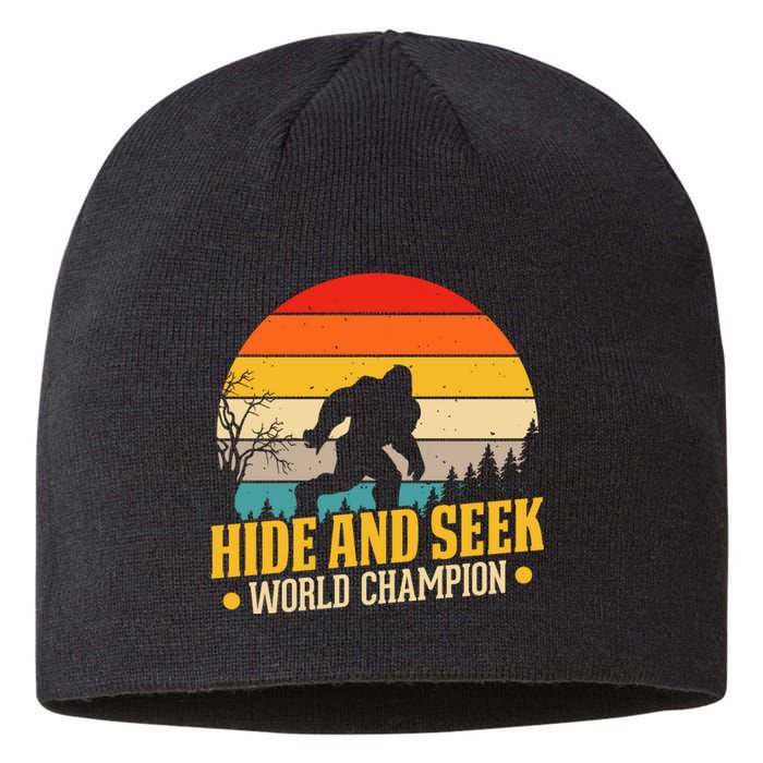 Hide And Seek World Champion Graphic Sustainable Beanie