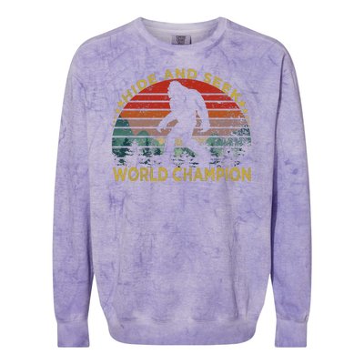 Hide And Seek World Champion Colorblast Crewneck Sweatshirt