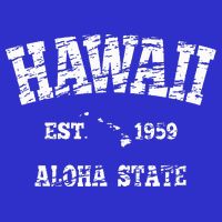 Hawaiian Aloha State Vintage Hawaiian Islands  Bag