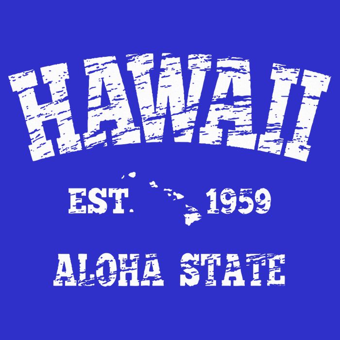 Hawaiian Aloha State Vintage Hawaiian Islands  Bag