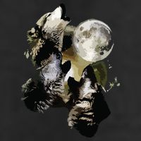 Howling At The Moon Wolves Wolf Animal Cool Comfort Performance Bucket Hat