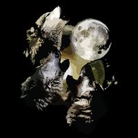 Howling At The Moon Wolves Wolf Animal Flatbill Hat