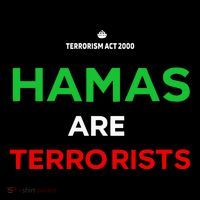Hamas Are Terrorists Please Dont Arrest Me Performance Shirt