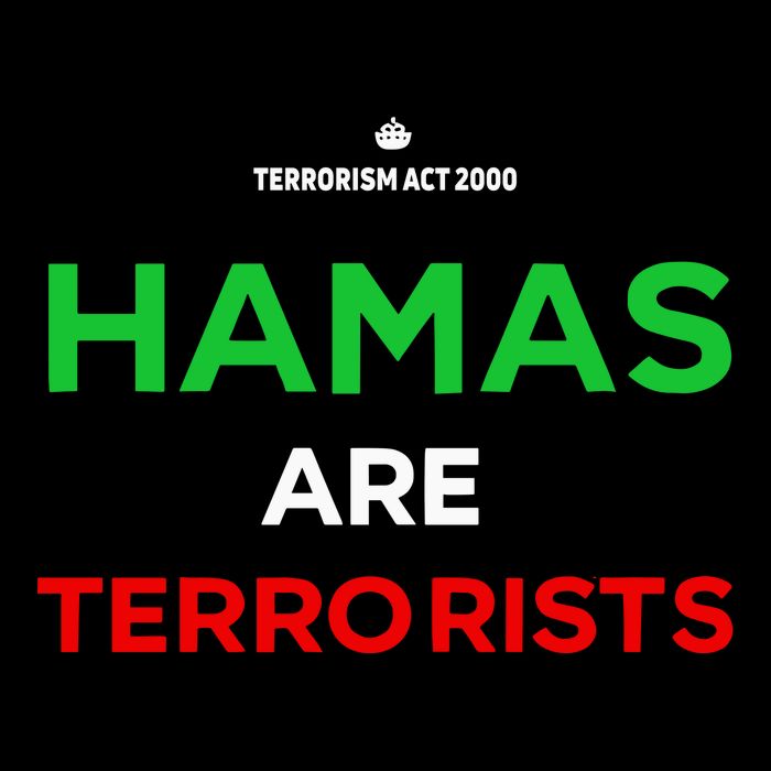 Hamas Are Terrorists Please Dont Arrest Me Hoodie