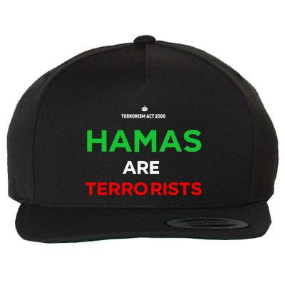 Hamas Are Terrorists Please Dont Arrest Me Wool Snapback Cap