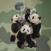 Howling At The Moon Funny Panda Panda Legacy Tie Dye Trucker Hat