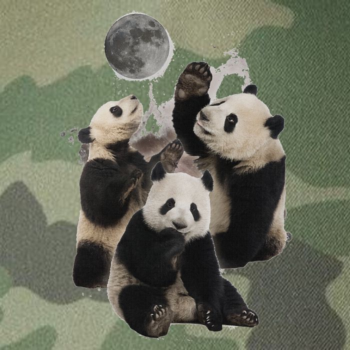 Howling At The Moon Funny Panda Panda Legacy Tie Dye Trucker Hat