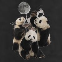 Howling At The Moon Funny Panda Panda 7 Panel Mesh Trucker Snapback Hat