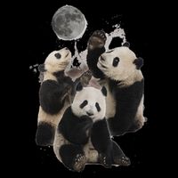 Howling At The Moon Funny Panda Panda T-Shirt