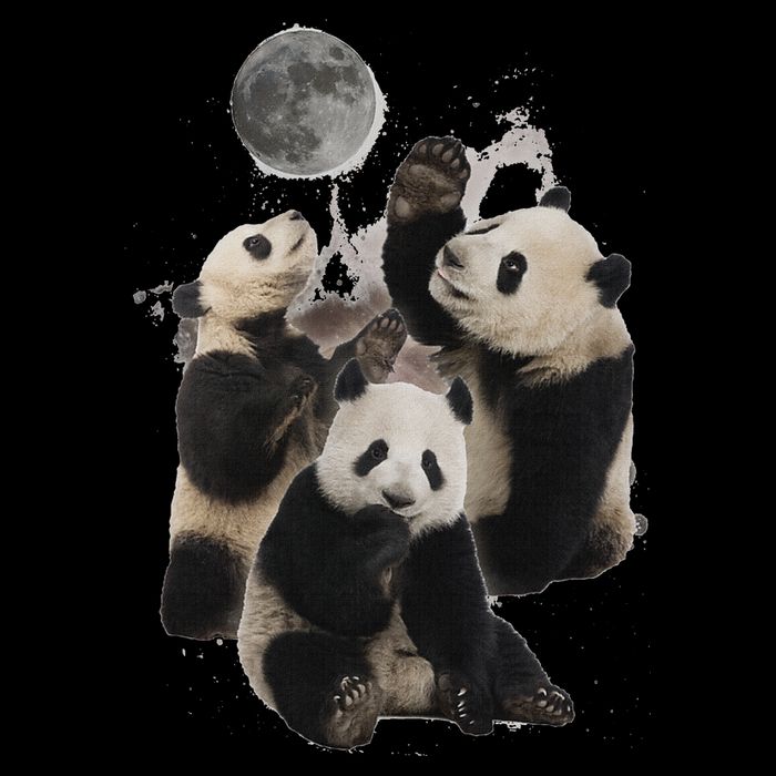 Howling At The Moon Funny Panda Panda T-Shirt
