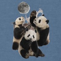 Howling At The Moon Funny Panda Panda Garment-Dyed Sweatshirt