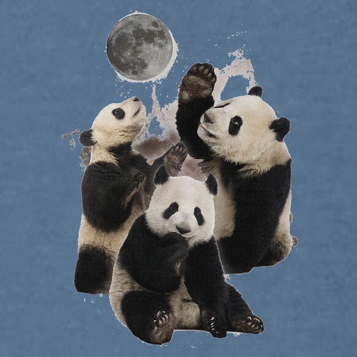 Howling At The Moon Funny Panda Panda Garment-Dyed Sweatshirt
