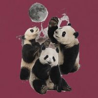 Howling At The Moon Funny Panda Panda 16oz Travel Tumbler