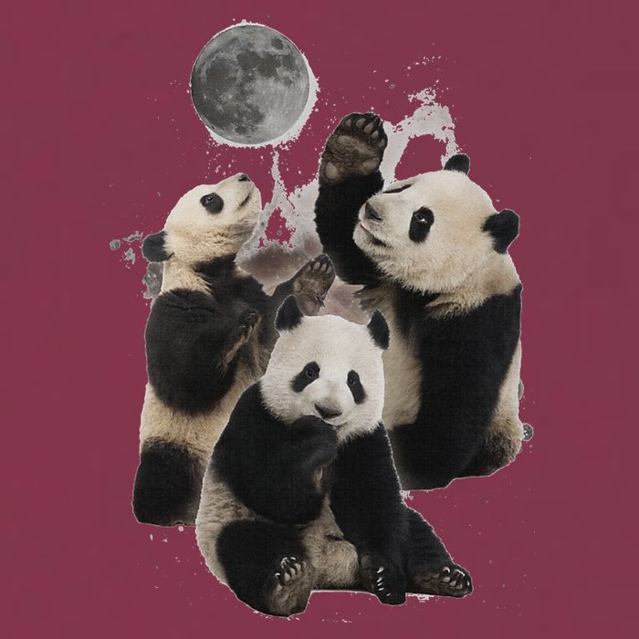 Howling At The Moon Funny Panda Panda 16oz Travel Tumbler