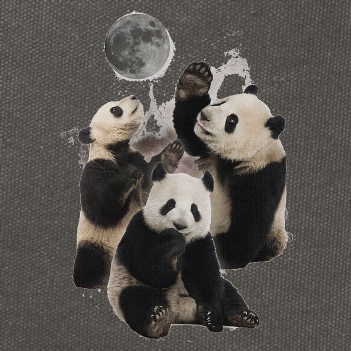 Howling At The Moon Funny Panda Panda Cotton Canvas Backpack