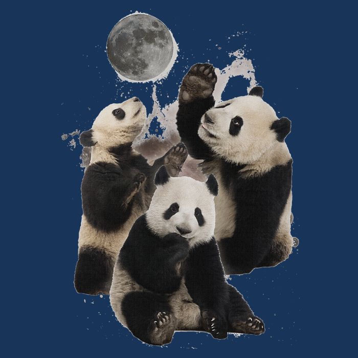 Howling At The Moon Funny Panda Panda Infant Baby Jersey Bodysuit