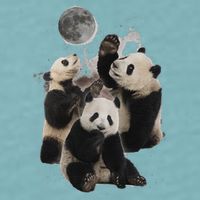 Howling At The Moon Funny Panda Panda Sueded Cloud Jersey T-Shirt
